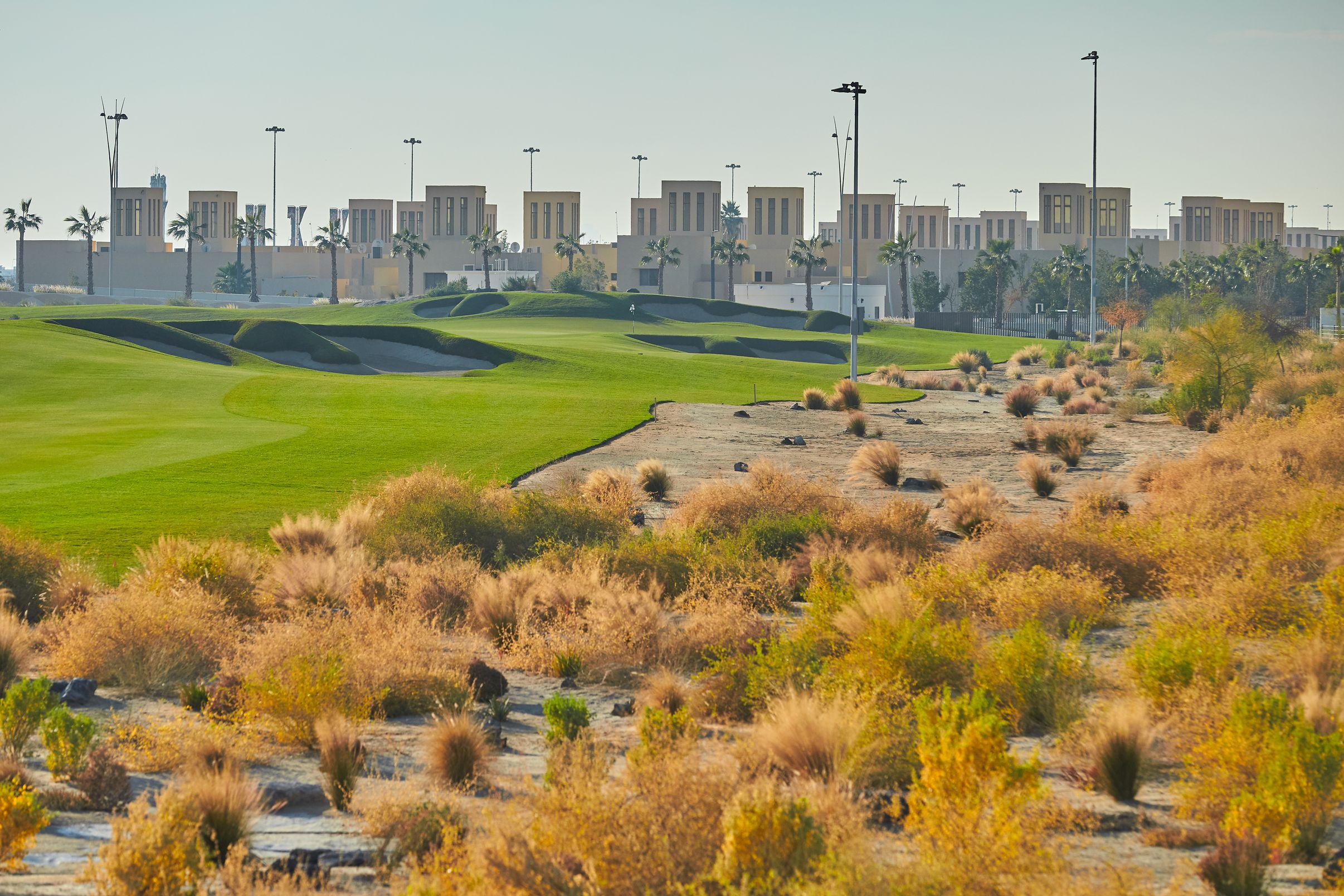 7th from the wadi